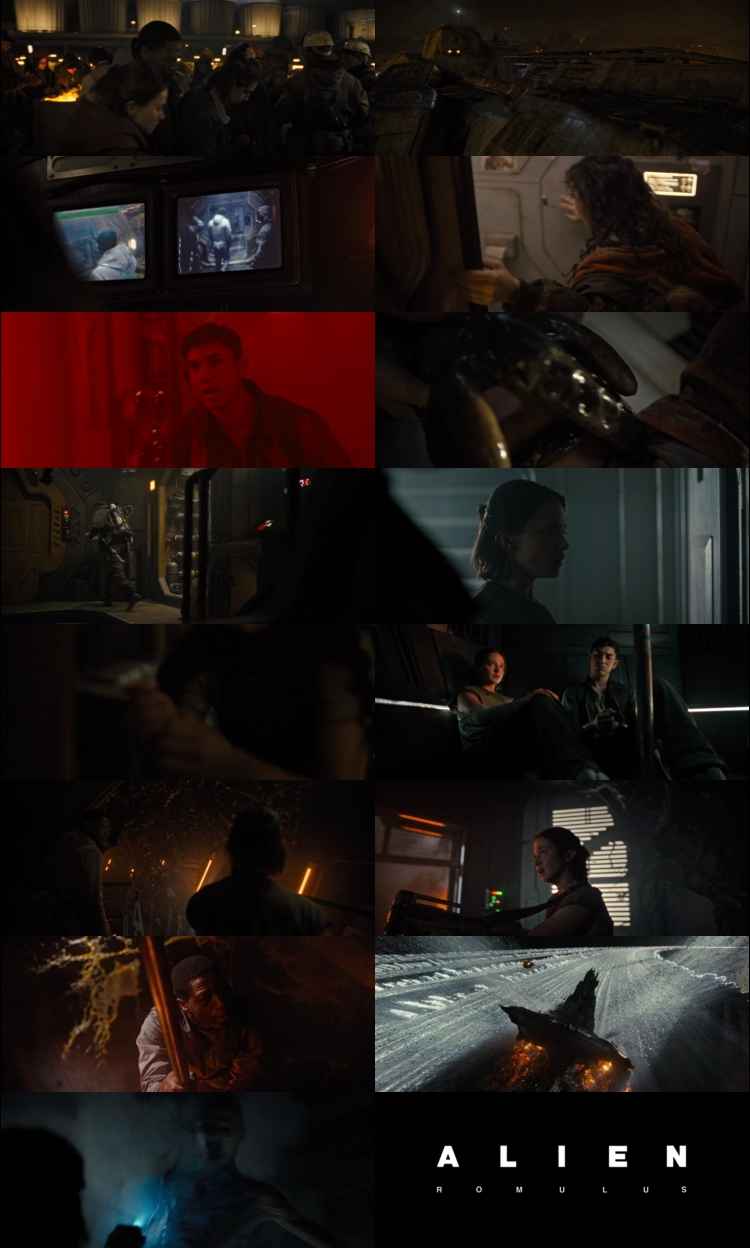 Alien romulus 2024 Hindi ORG Dual Audio Movie DD2.0 1080p 720p 480p Web-DL ESubs x264 HEVC Alien romulus 2024 Hindi ORG Dual Audio Movie DD2.0 4k 1080p 720p 480p Web-DL ESubs x264 HEVC
