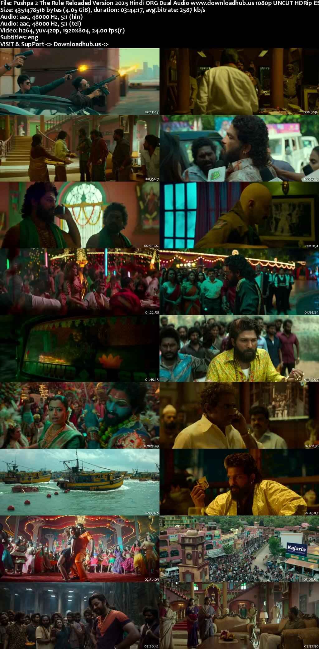 Pushpa 2 The Rule Reloaded Version 2025 Hindi ORG Dual Audio Movie DD5.1 1080p 720p 480p UNCUT HDRip ESubs HEVC