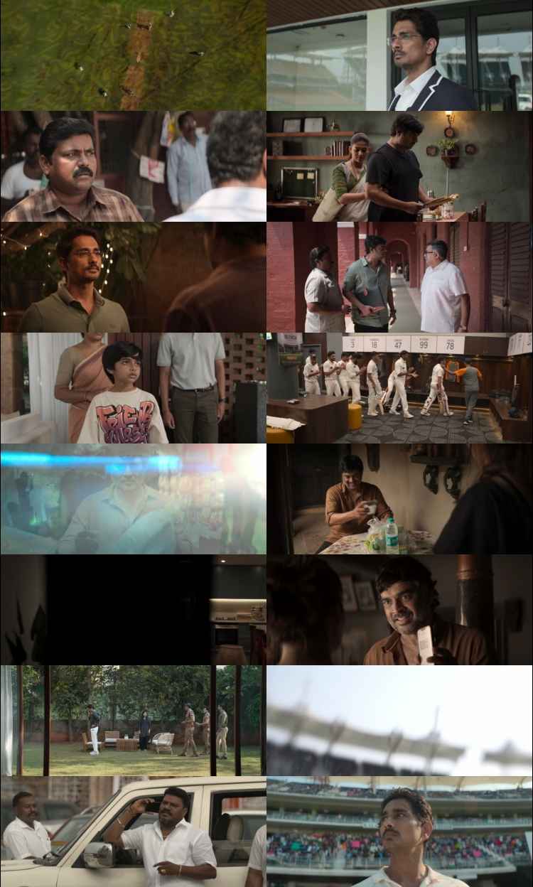 Test 2025 Hindi ORG Dual Audio Movie DD2.0 1080p 720p 480p UNCUT HDRip ESubs x264 HEVC Test 2025 Hindi ORG Dual Audio Movie DD2.0 1080p 720p 480p UNCUT HDRip ESubs x264 HEVC