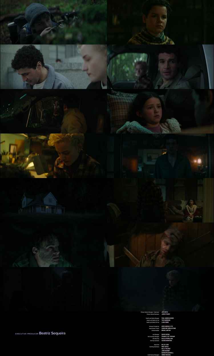 The Twister Caught in the Storm 2025 Hindi ORG Dual Audio Movie DD5.1 1080p 720p 480p Web-DL x264 HEVC