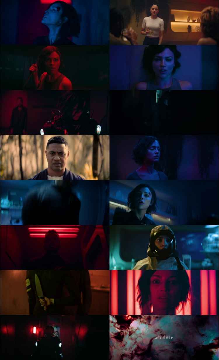 Ash 2025 Hindi ORG Dual Audio Movie DD5.1 1080p 720p 480p Web-DL ESubs x264 HEVC