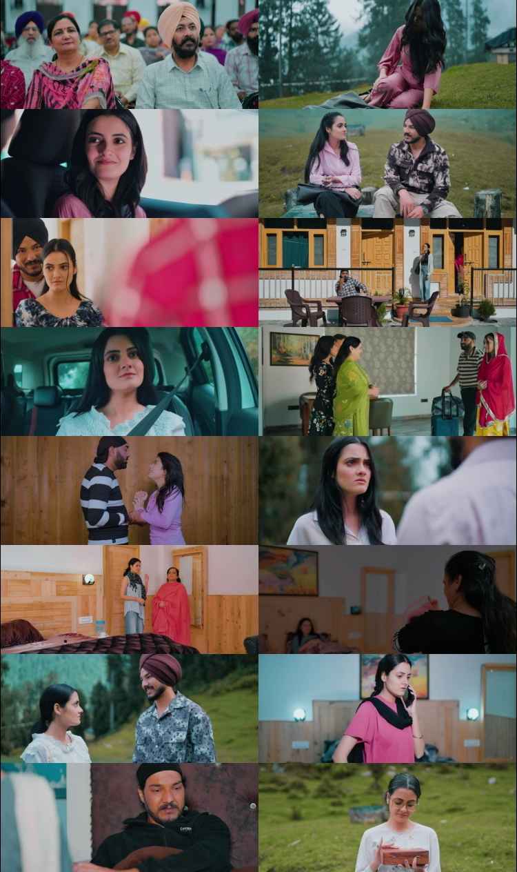 Hara Chura 2025 Punjabi Movie DD2.0 1080p 720p 480p HDRip ESubs x264 HEVC