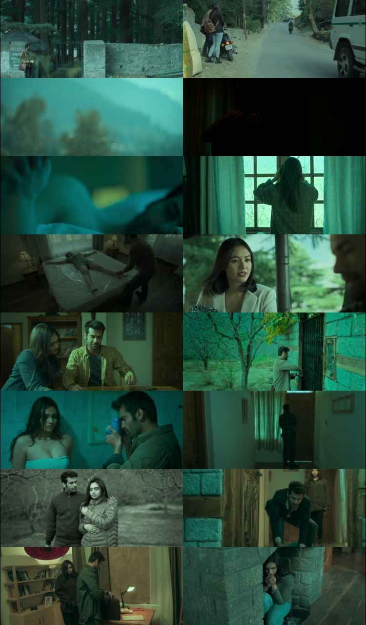 A Stranger by the Hill 2024 Hindi Movie DD5.1 1080p 720p 480p HDRip ESubs x264 HEVC