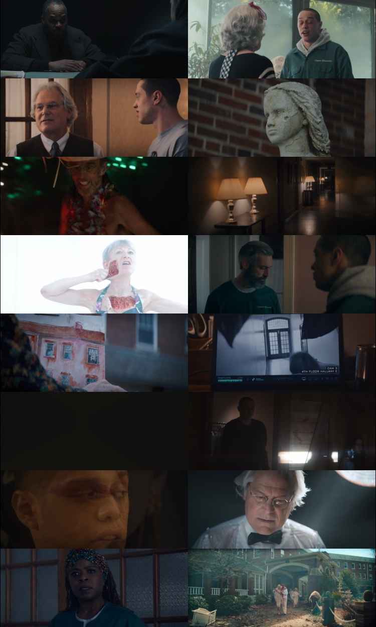 The Home 2025 Hindi Dual Audio BRRip Full Movie Download