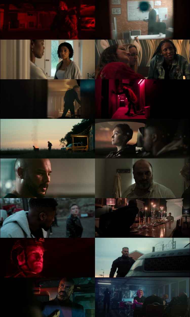 Sunray Fallen Soldier 2025 Hindi ORG Dual Audio Movie DD2.0 1080p 720p 480p Web-DL ESubs x264 HEVC