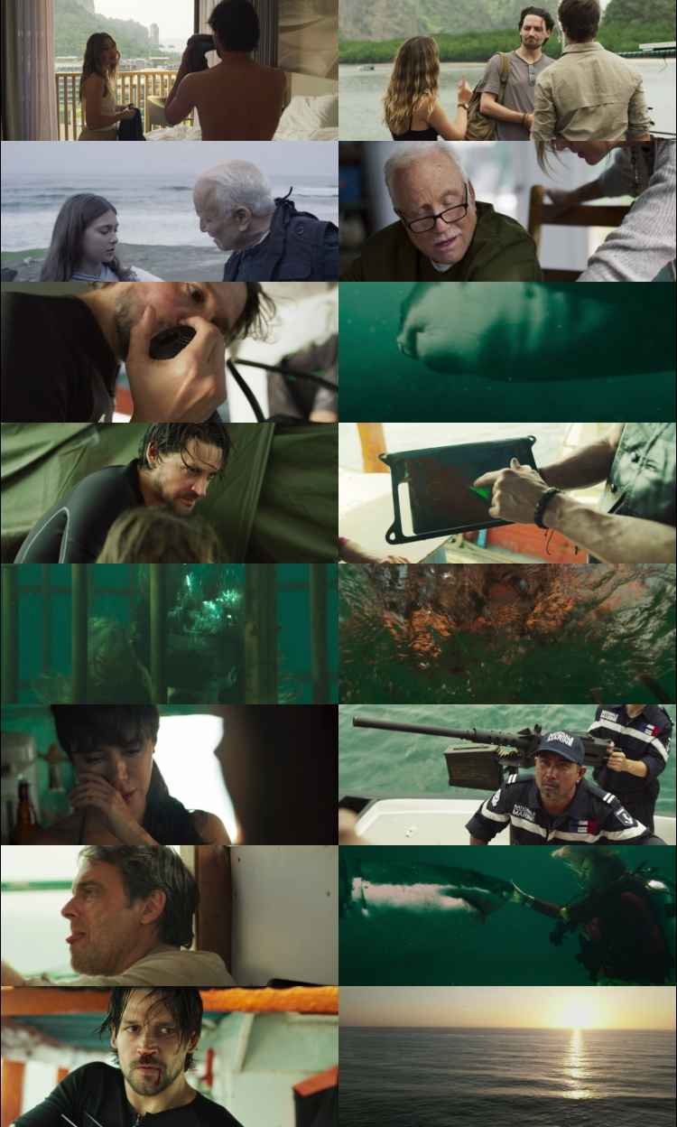 Maintenance Required 2025 Hindi ORG Dual Audio Movie DD5.1 1080p 720p 480p Web-DL x264 ESubs HEVC
