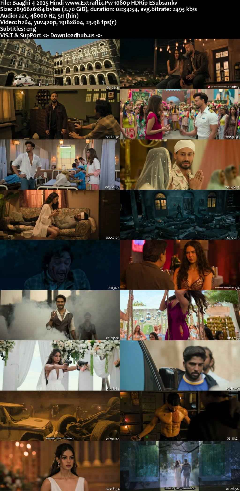 Baaghi 4 2025 Hindi Movie DD5.1 4k 1080p 720p 480p HDRip ESubs x264 HEVC