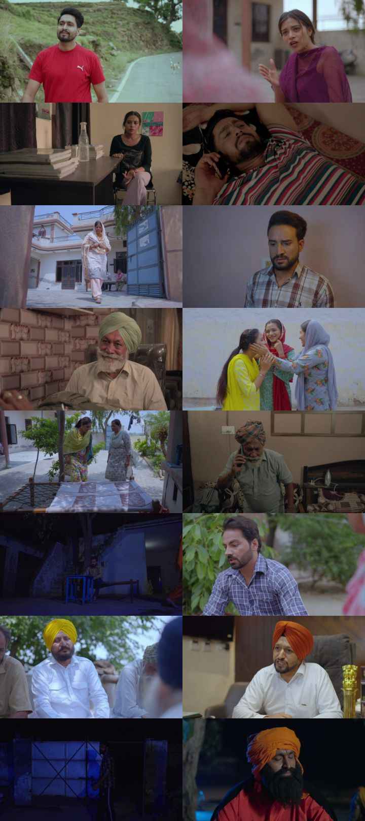 Paurhi 2025 Punjabi Movie DD5.1 1080p 720p 480p HDRip ESubs x264 HEVC