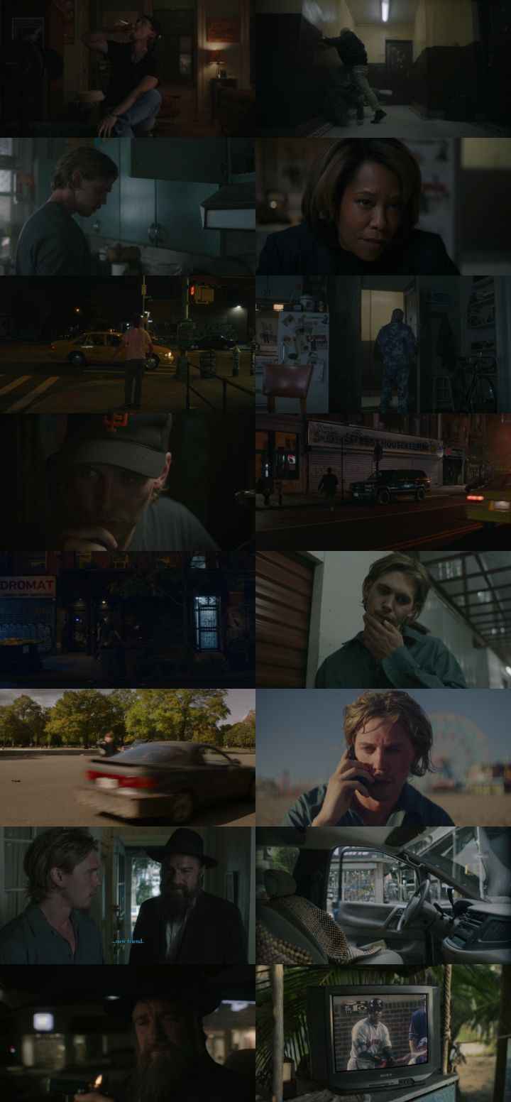 Caught Stealing 2025 Hindi ORG Dual Audio Movie DD2.0 4k 1080p 720p 480p BluRay ESubs x264 HEVC
