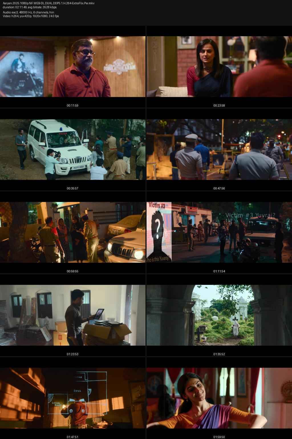 Aaryan 2025 Hindi ORG Dual Audio Movie DD5.1 4k 1080p 720p 480p UNCUT HDRip ESubs x264 HEVC