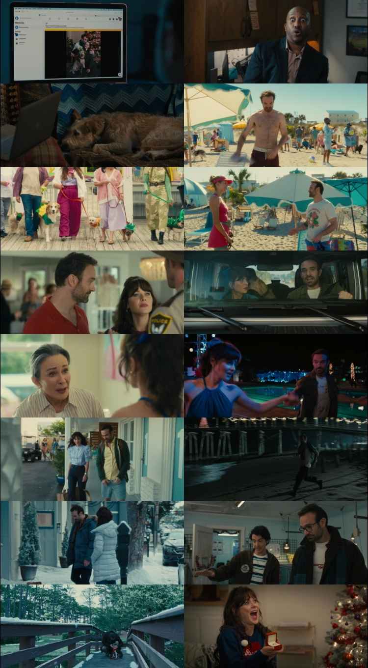 Merv 2025 Hindi ORG Dual Audio Movie DD5.1 1080p 720p 480p Web-DL x264 ESubs HEVC