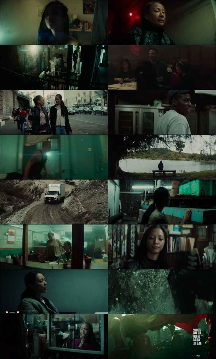 Snakehead 2021 Hindi ORG Dual Audio Movie DD5.1 1080p 720p 480p Web-DL x264 ESubs HEVC