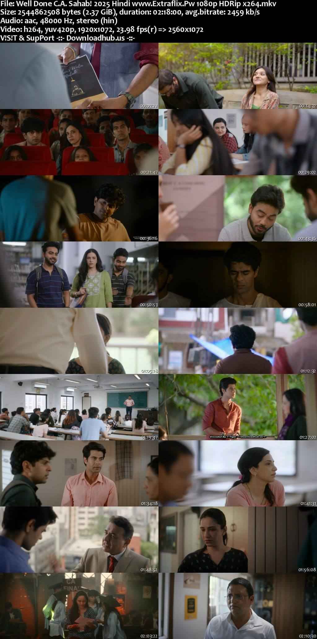 Well Done C.A. Sahab! 2025 Hindi Movie DD2.0 4k 1080p 720p 480p HDRip x264 HEVC