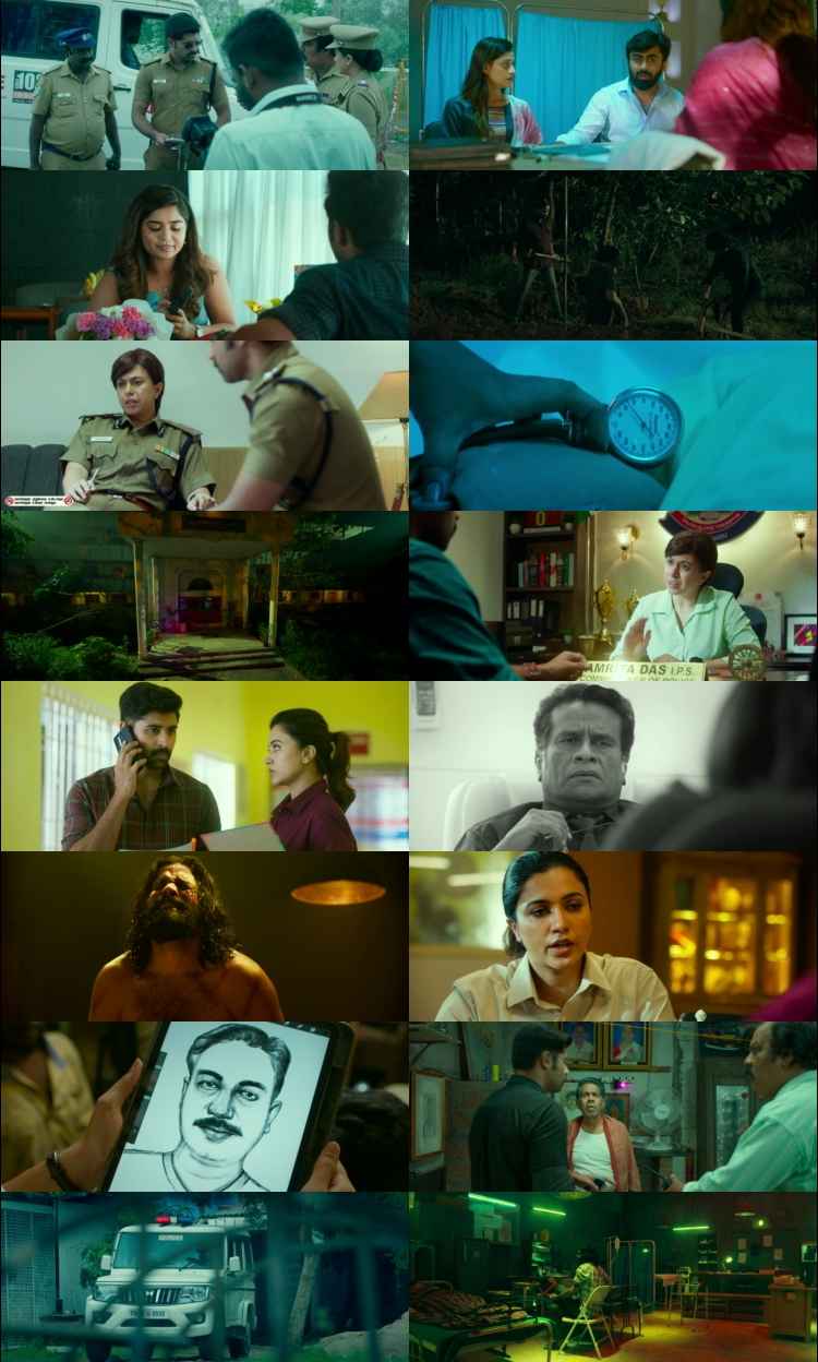Others 2025 Hindi ORG Dual Audio Movie DD2.0 1080p 720p 480p UNCUT HDRip ESubs HEVC