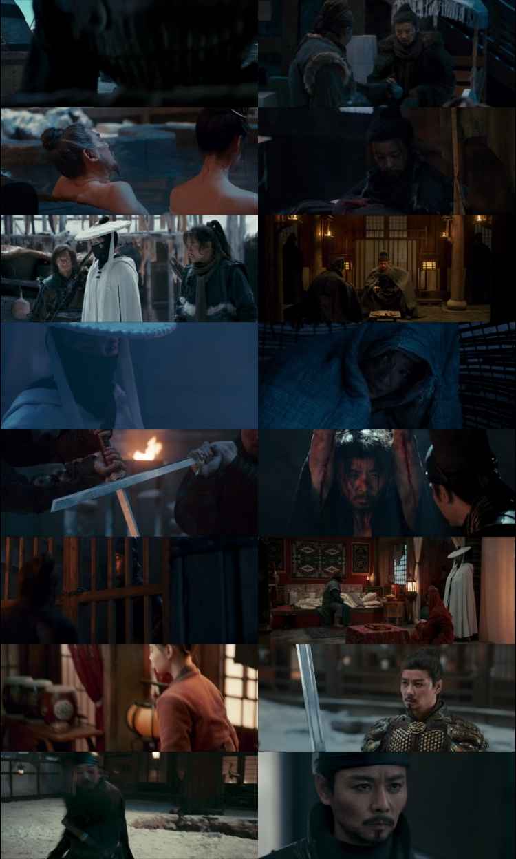 The Wild Blade of Strangers 2024 Hindi ORG Dual Audio Movie DD5.1 1080p 720p 480p Web-DL x264 ESubs HEVC