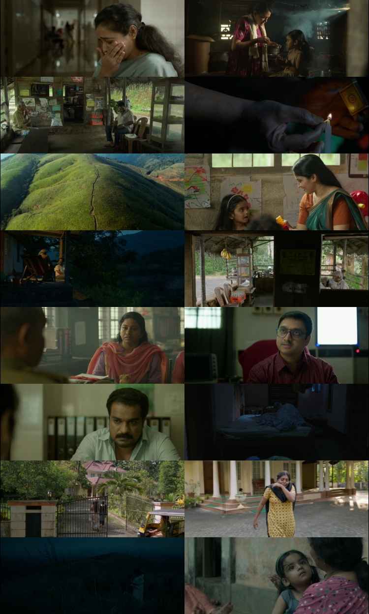 Am Ah 2025 Hindi ORG Dual Audio Movie DD2.0 1080p 720p 480p UNCUT HDRip ESubs HEVC