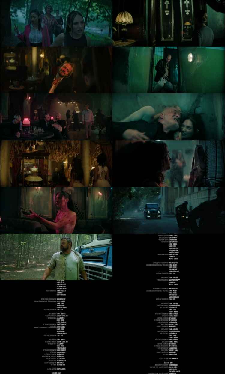 Pretty Lethal 2026 Hindi ORG Dual Audio Movie DD5.1 1080p 720p 480p Web-DL x264 ESubs HEVC Pretty Lethal 2026 Hindi ORG Dual Audio Movie DD5.1 1080p 720p 480p Web-DL x264 ESubs HEVC