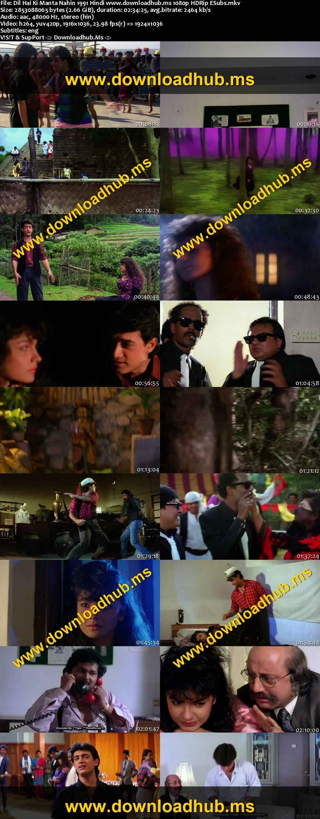 Dil Hai Ki Manta Nahin 1991 Hindi Movie DD2.0 1080p 720p 480p HDRip ESubs x264 HEVC