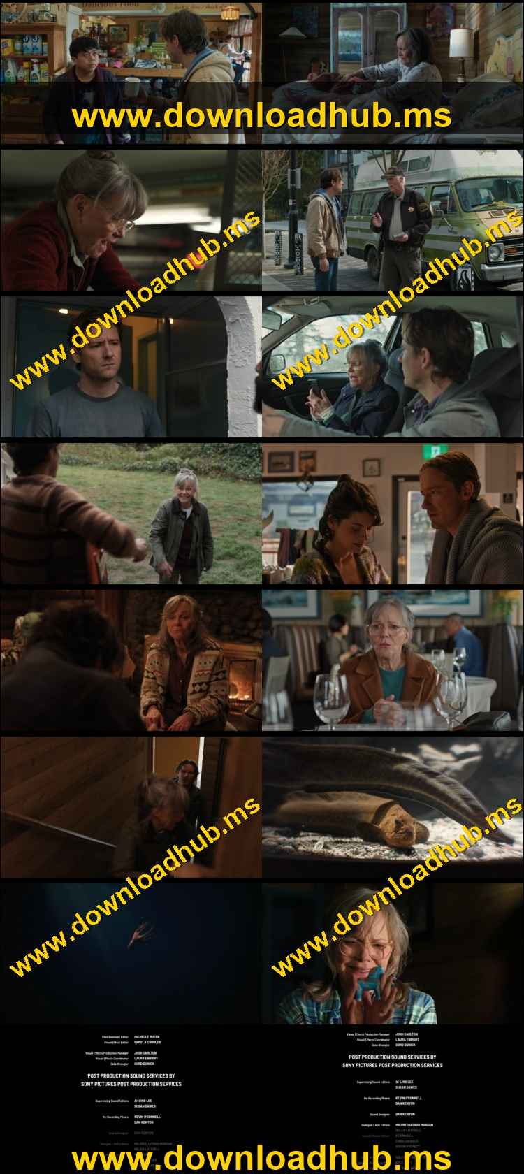 Remarkably Bright Creatures 2026 Hindi ORG Dual Audio Movie DD5.1 1080p 720p 480p Web-DL x264 ESubs HEVC